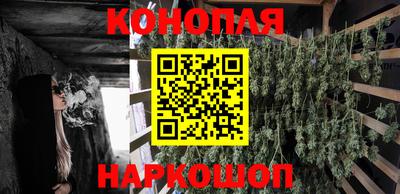 крисы Лесосибирск