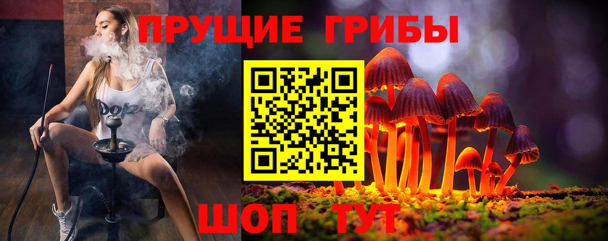 где продают   Псилоцибиновые грибы GOLDEN TEACHER  Вход с VPN  Киров  Галлюциногенные грибы прущие грибы 