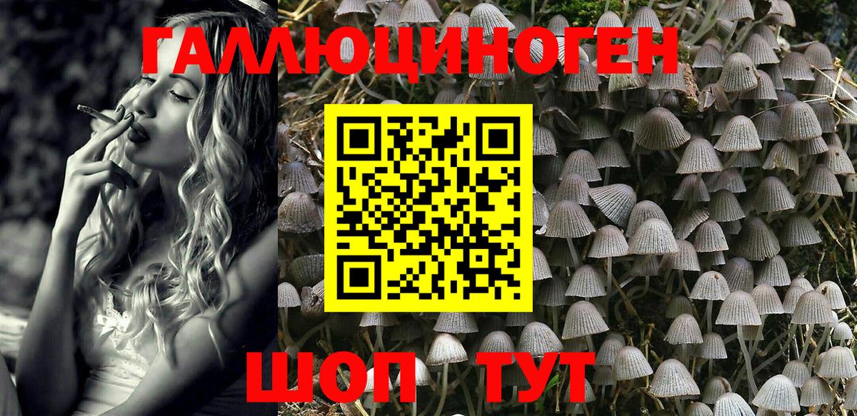 Псилоцибиновые грибы Magic Shrooms Киров